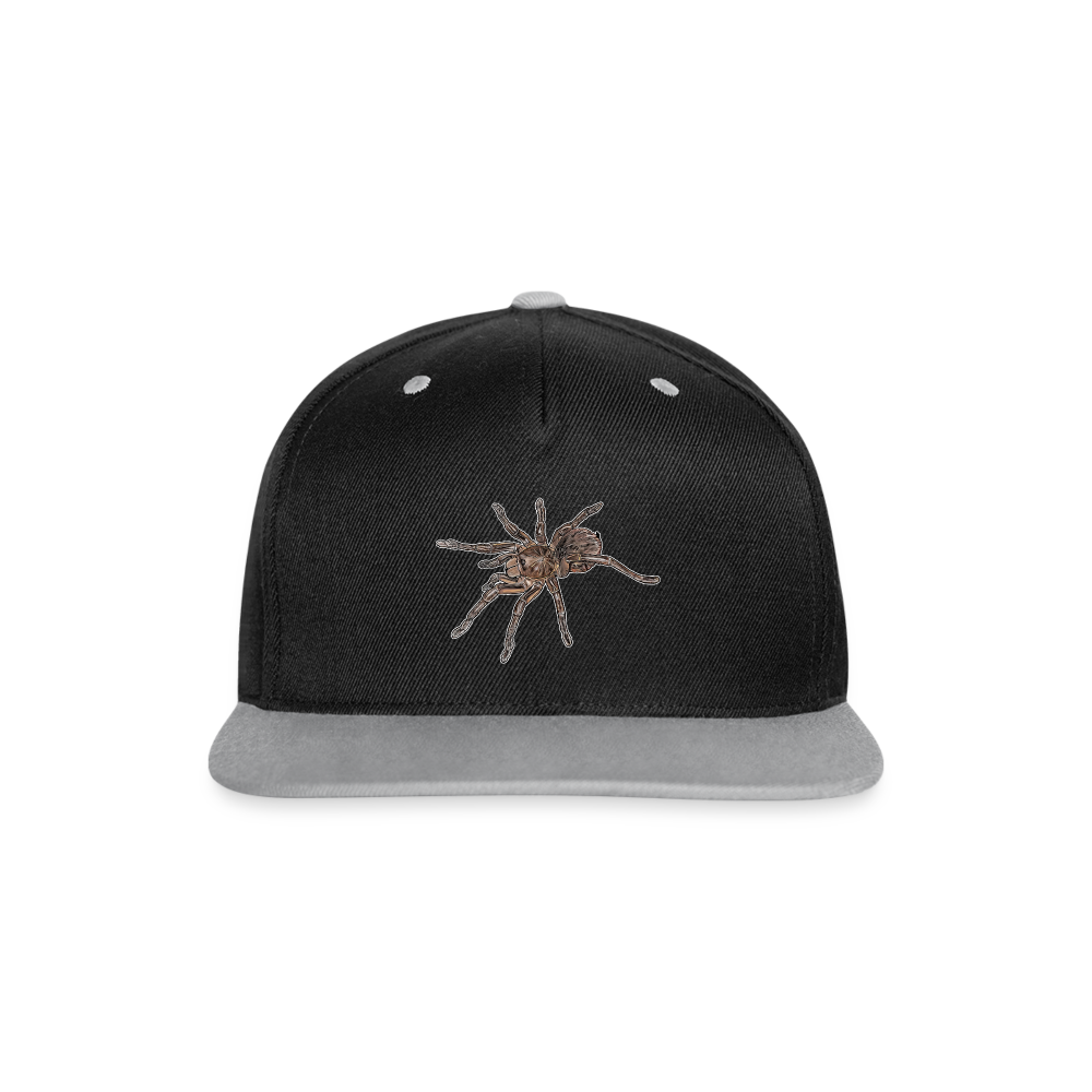Cappy Kontrast Snapback Theraphosa stirmi juvenile - Schwarz/Grau