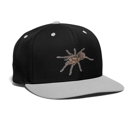 Cappy Kontrast Snapback Theraphosa stirmi juvenile - Schwarz/Grau