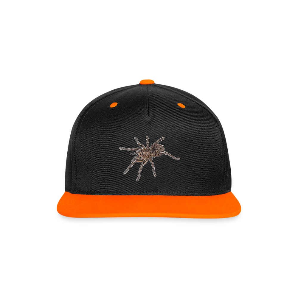 Cappy Kontrast Snapback Theraphosa stirmi juvenile - Schwarz/Neonorange