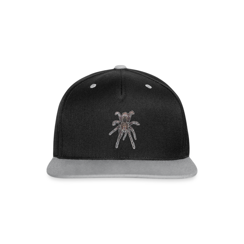 Cappy Kontrast Snapback Pamphobeteus sp Machala juvenile - Schwarz/Grau