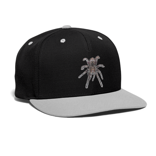 Cappy Kontrast Snapback Pamphobeteus sp Machala juvenile - Schwarz/Grau