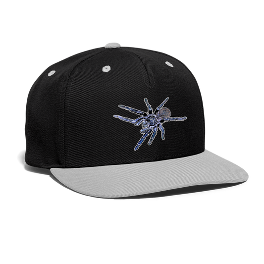 Cappy Kontrast Snapback Pterinopelma sazimai - Schwarz/Grau
