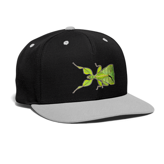 Cappy Kontrast Snapback Phyllium philippinicum female - Schwarz/Grau