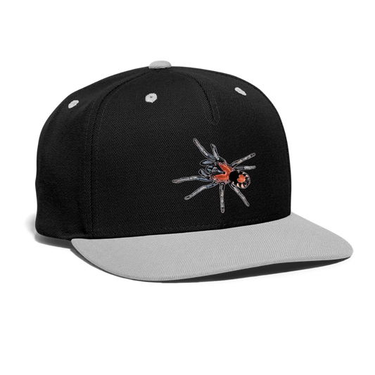 Cappy Kontrast Snapback Cyriocosmus elegans - Schwarz/Grau