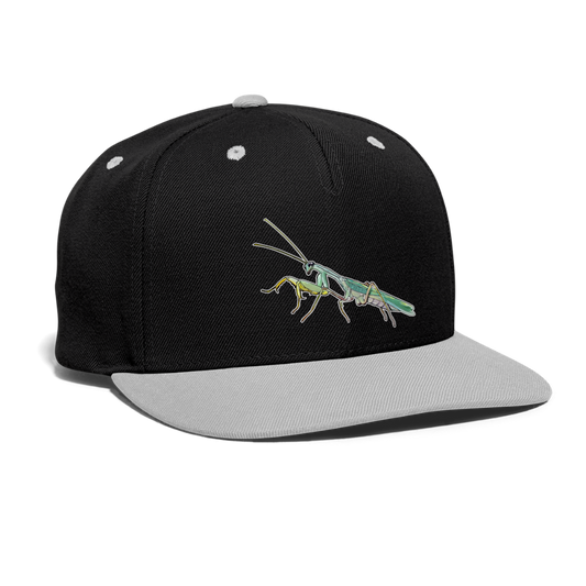 Cappy Kontrast Snapback Sphodromantis lineola - Schwarz/Grau