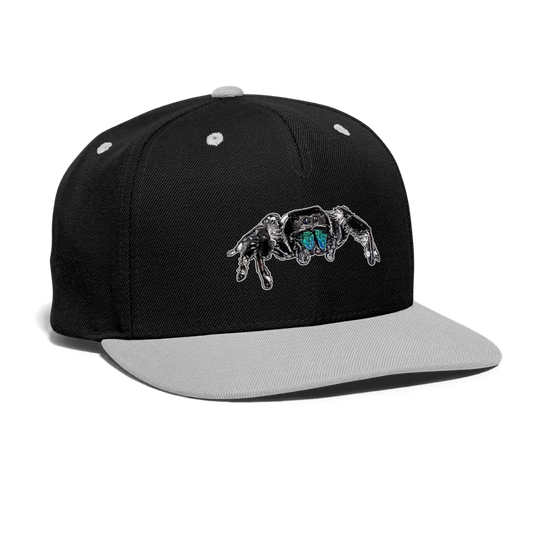 Cappy Kontrast Snapback Phidippus regius Everglades male - Schwarz/Grau