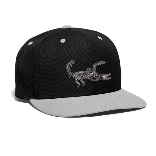 Cappy Kontrast Snapback Heterometrus silenus - Schwarz/Grau