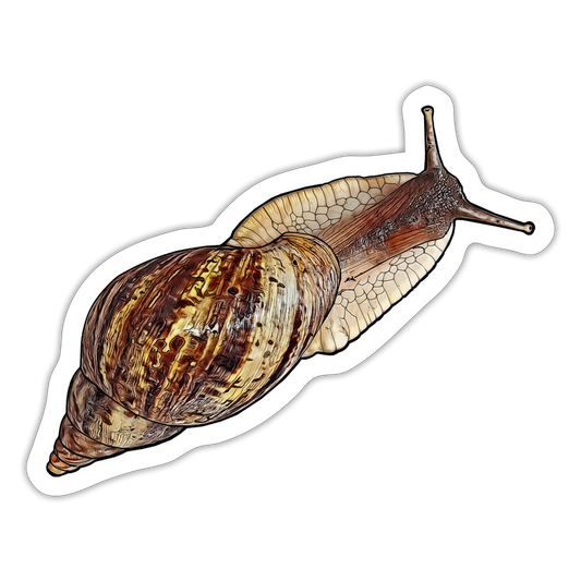 Sticker Achatin reticulata wildfarben - Mattweiß