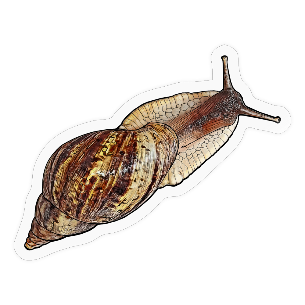 Sticker Achatin reticulata wildfarben - Transparent glänzend