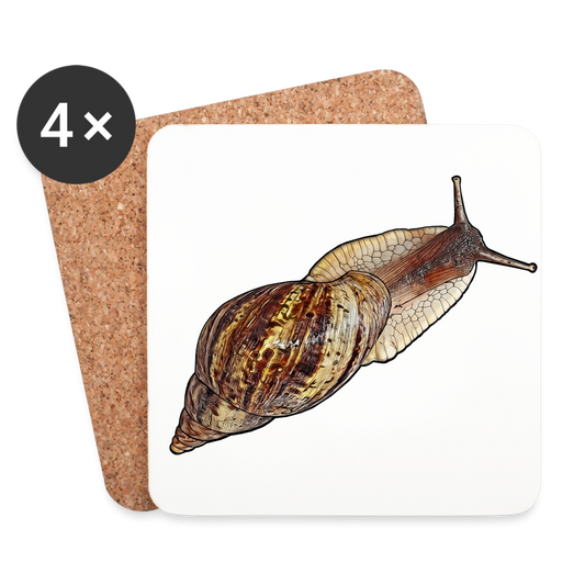 Untersetzer 4er Set Achatina reticulata wildfarben - weiß