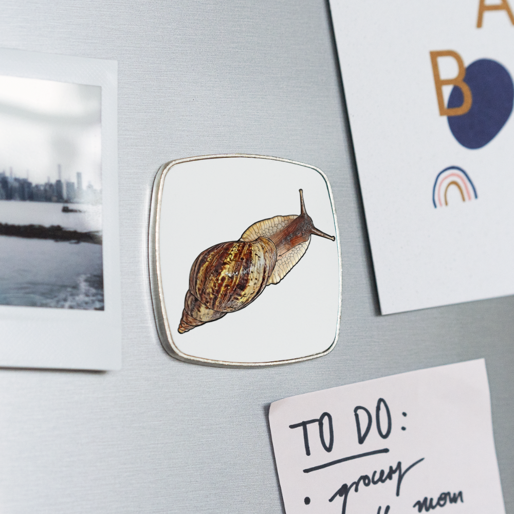 Kühlschrankmagnet eckig Achatina reticulata wildfarben - weiß