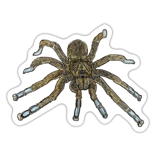 Sticker Idiothele mira - Mattweiß