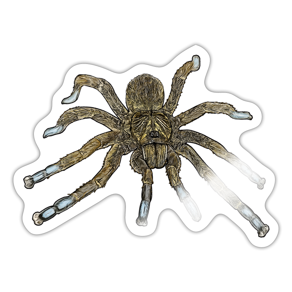 Sticker Idiothele mira - Weiß glänzend