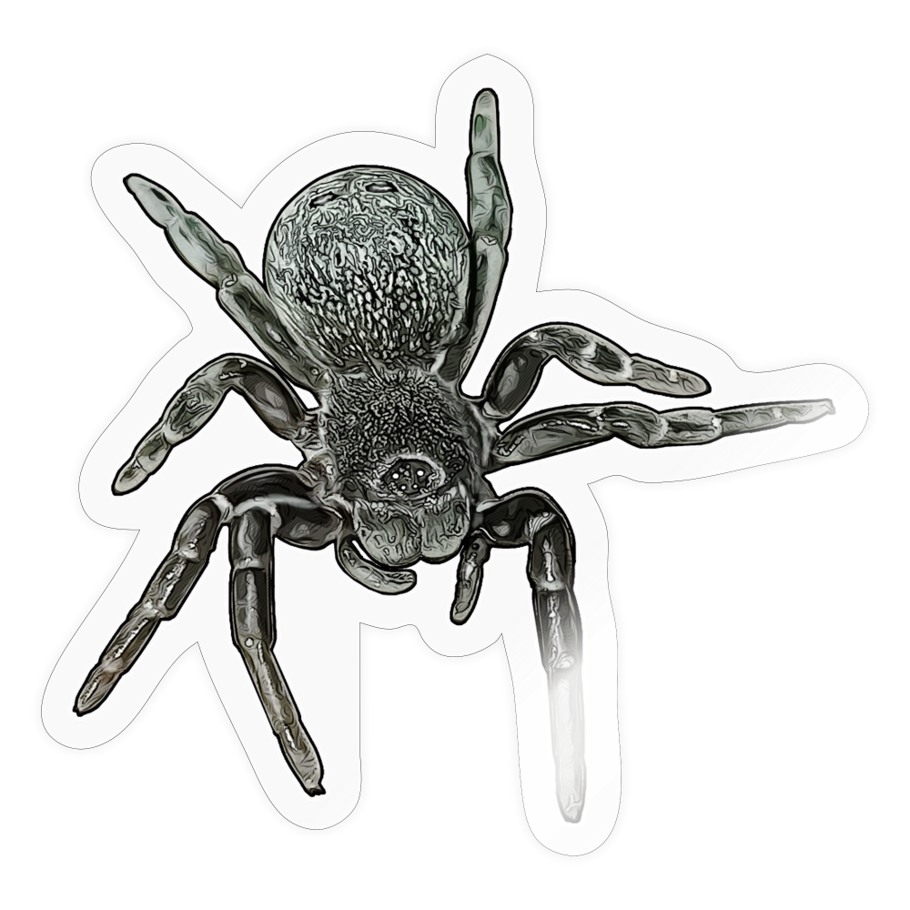 Sticker Eresus walckenaeri - Transparent glänzend