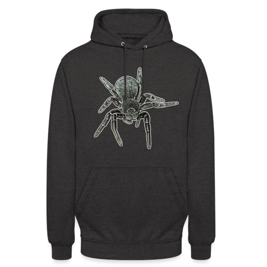 Unisex Hoodie Eresus walckenaeri - Anthrazit