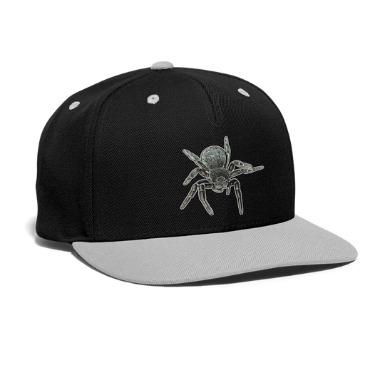 Cappy Kontrast Snapback Eresus walckenaeri - Schwarz/Grau