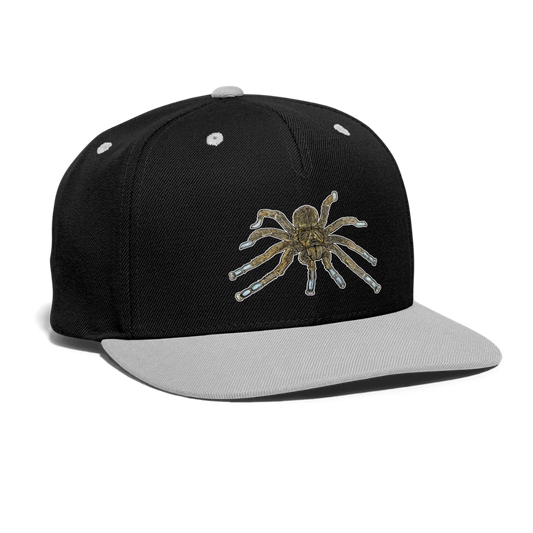 Cappy Kontrast Snapback Idiothele mira - Schwarz/Grau