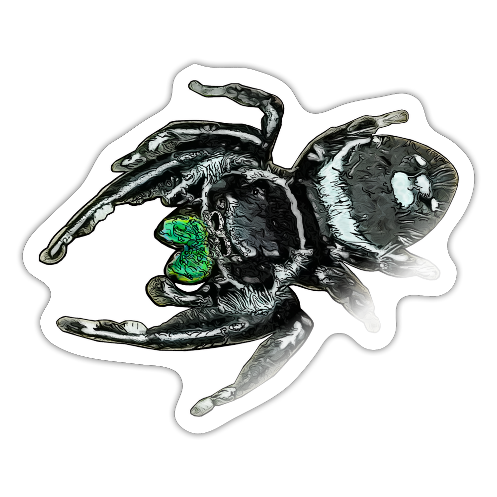Sticker Phidippus regius White Bahamas male - Weiß glänzend