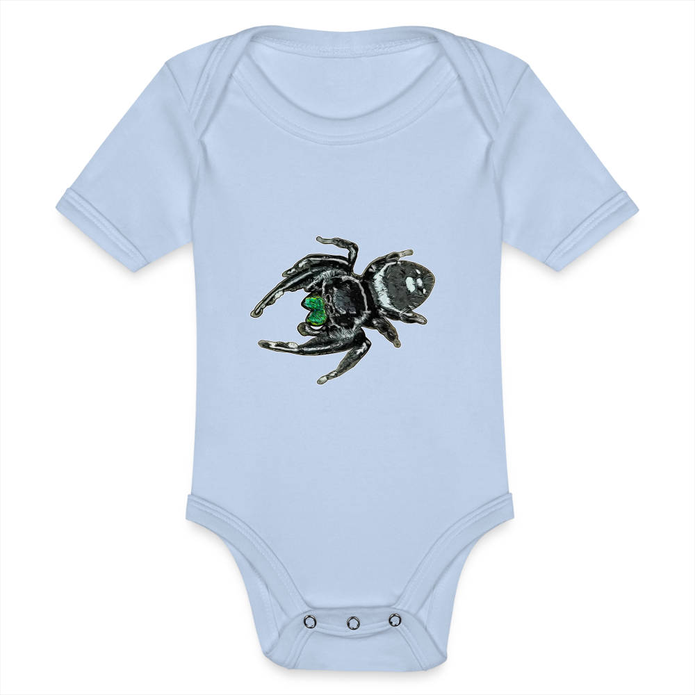 Baby Bio Body kurz Phidippus regius White Bahamas male - Sky