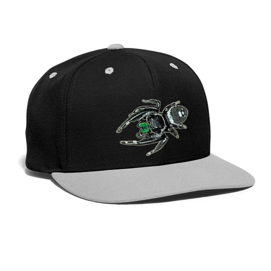 Cappy Kontrast Snapback Phidippus regius White Bahamas male - Schwarz/Grau