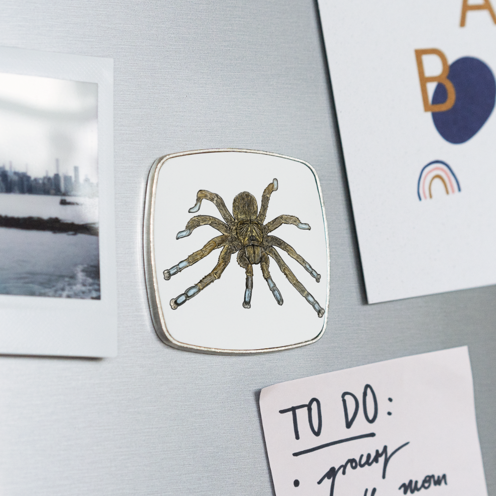 Kühlschrankmagnet eckig Idiothele mira - weiß