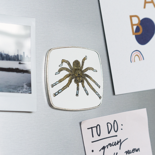 Kühlschrankmagnet eckig Idiothele mira - weiß