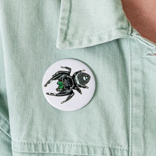 Buttons groß 56 mm (5er Pack) Phidippus regius White Bahamas male - weiß