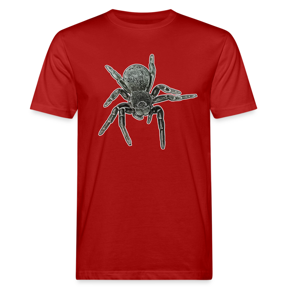 Männer Bio-T-Shirt Eresus walckenaeri - Dunkelrot