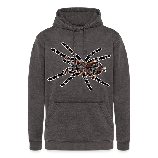Unisex Vintage Hoodie Acanthoscurria geniculata - Vintage Grau
