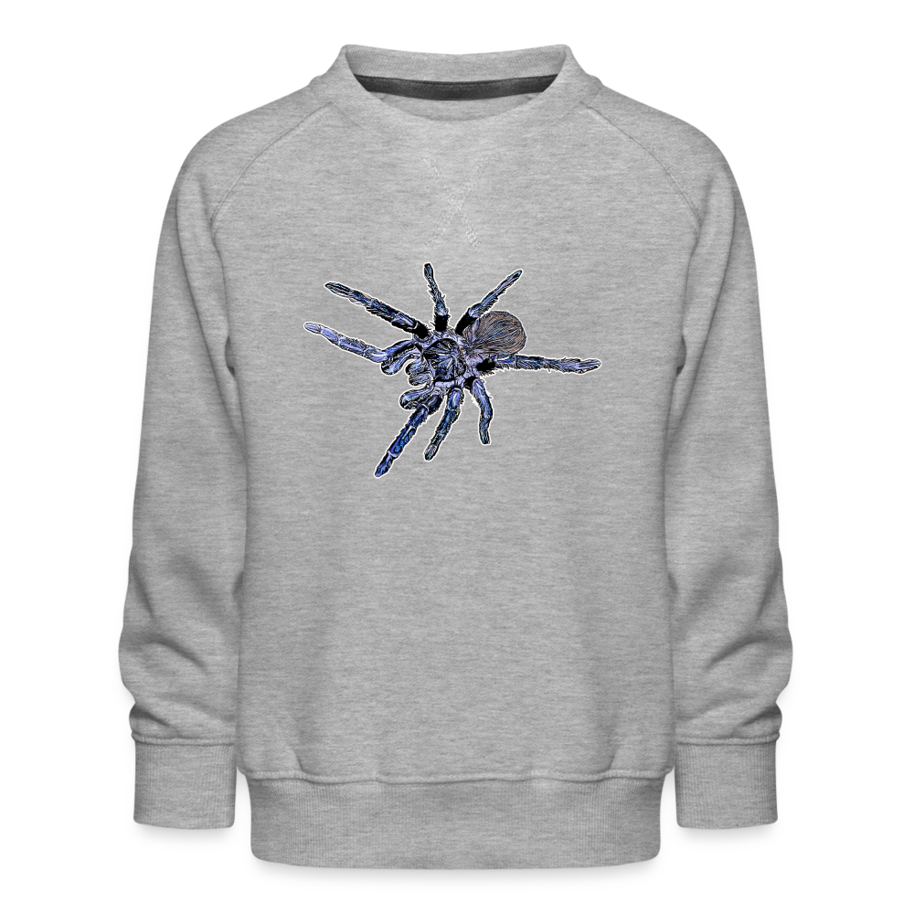 Kinder/ Teenager Pullover Pterinopelma sazimai - Grau meliert