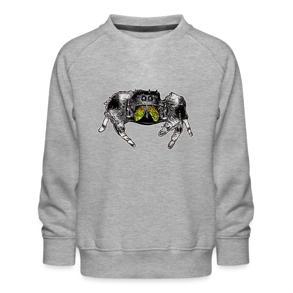 Kinder/ Teenager Pullover Phidippus regius Rastafari male - Grau meliert
