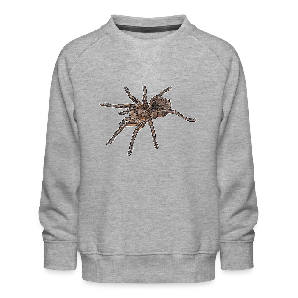 Kinder/ Teenager Pullover Theraphosa stirmi juvenile - Grau meliert