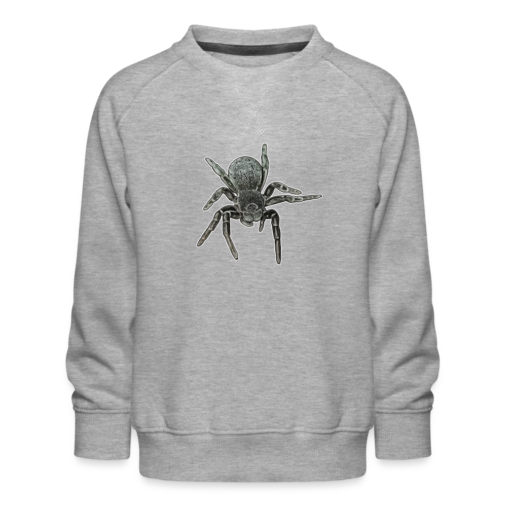 Kinder/ Teenager Pullover Eresus walckenaeri - Grau meliert