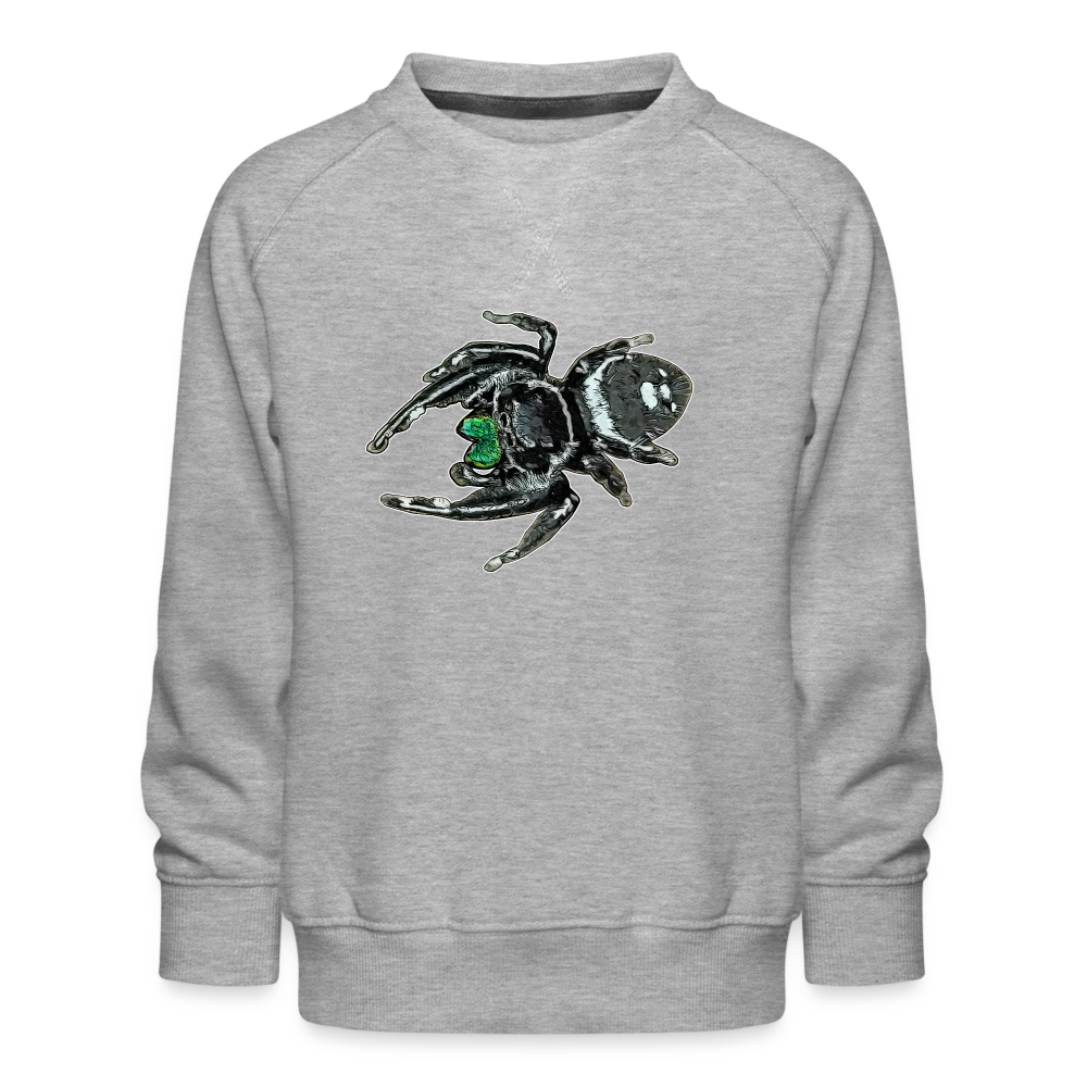 Kinder/ Teenager Pullover Phidippus regius White Bahamas male - Grau meliert