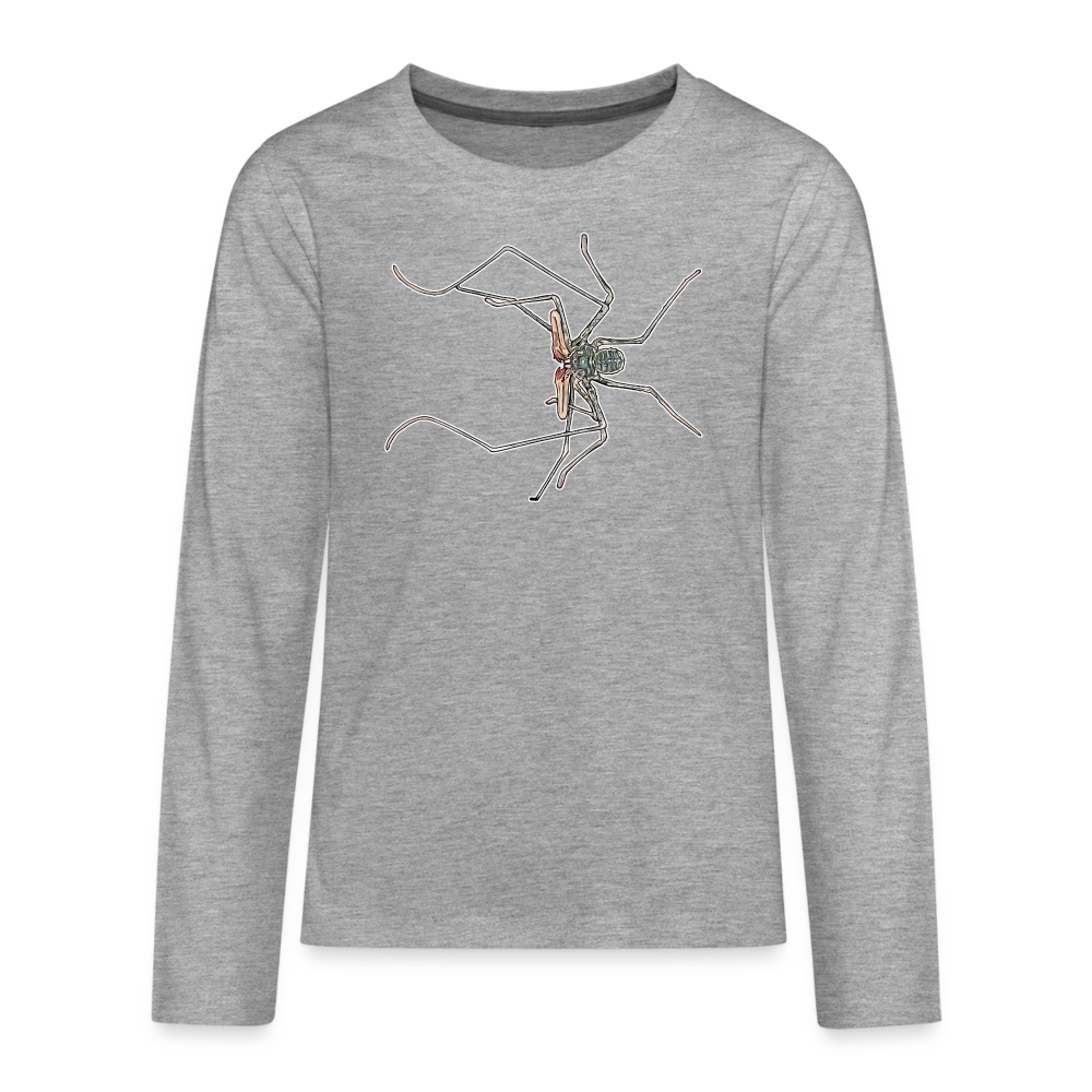 Teenager Longsleeve Euphrynichus bacillifer - Grau meliert