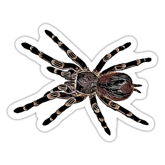 Sticker Acanthoscurria geniculata - Mattweiß