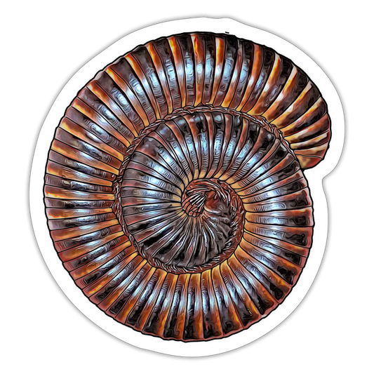 Sticker Archispirostreptus gigas - Mattweiß