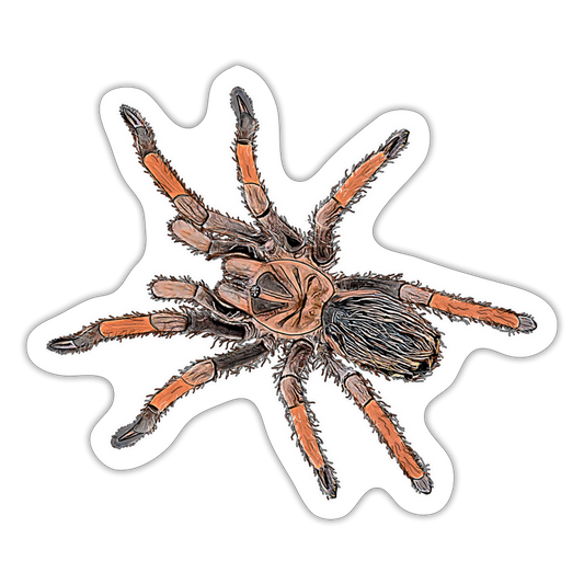Sticker Brachypelma emilia - Mattweiß