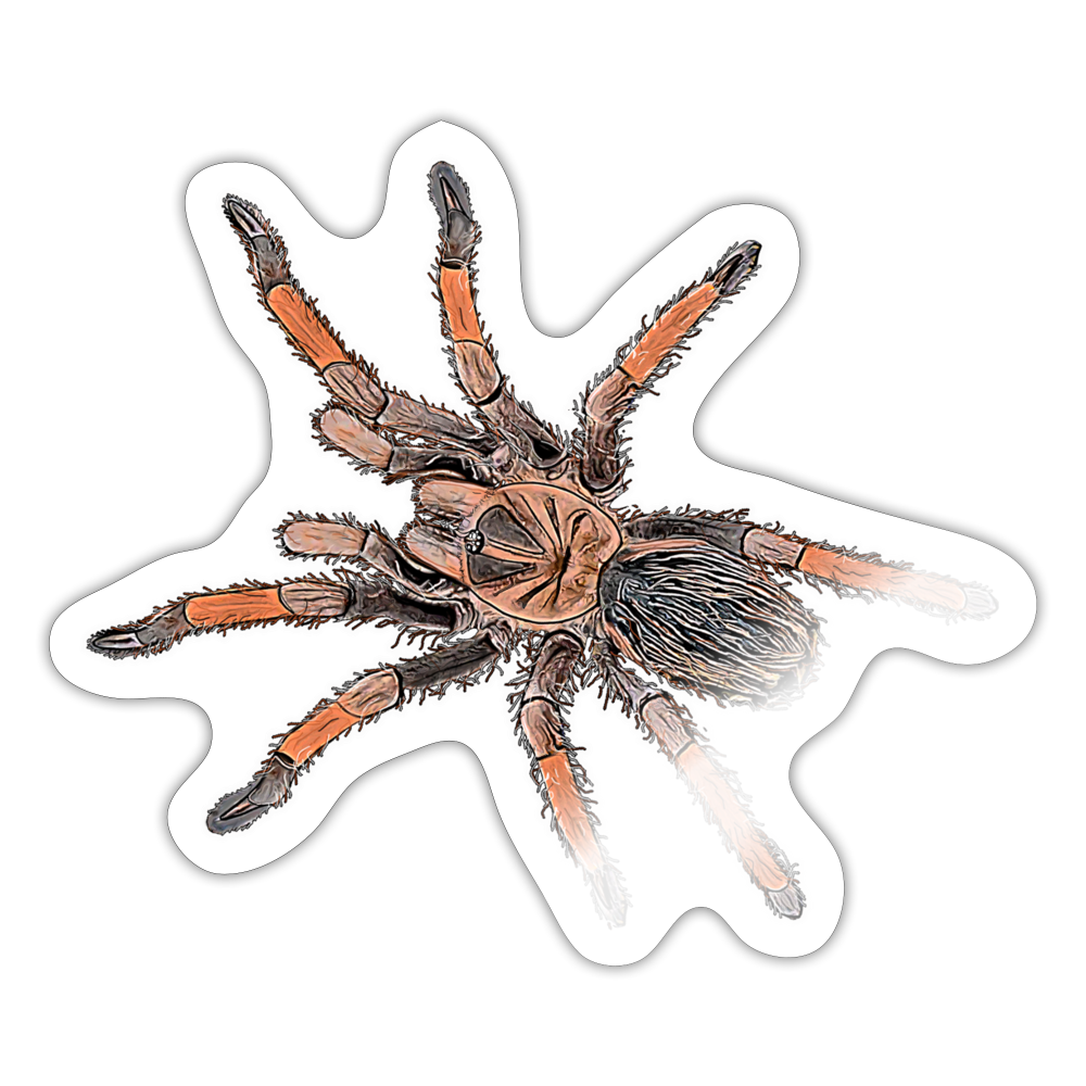 Sticker Brachypelma emilia - Weiß glänzend