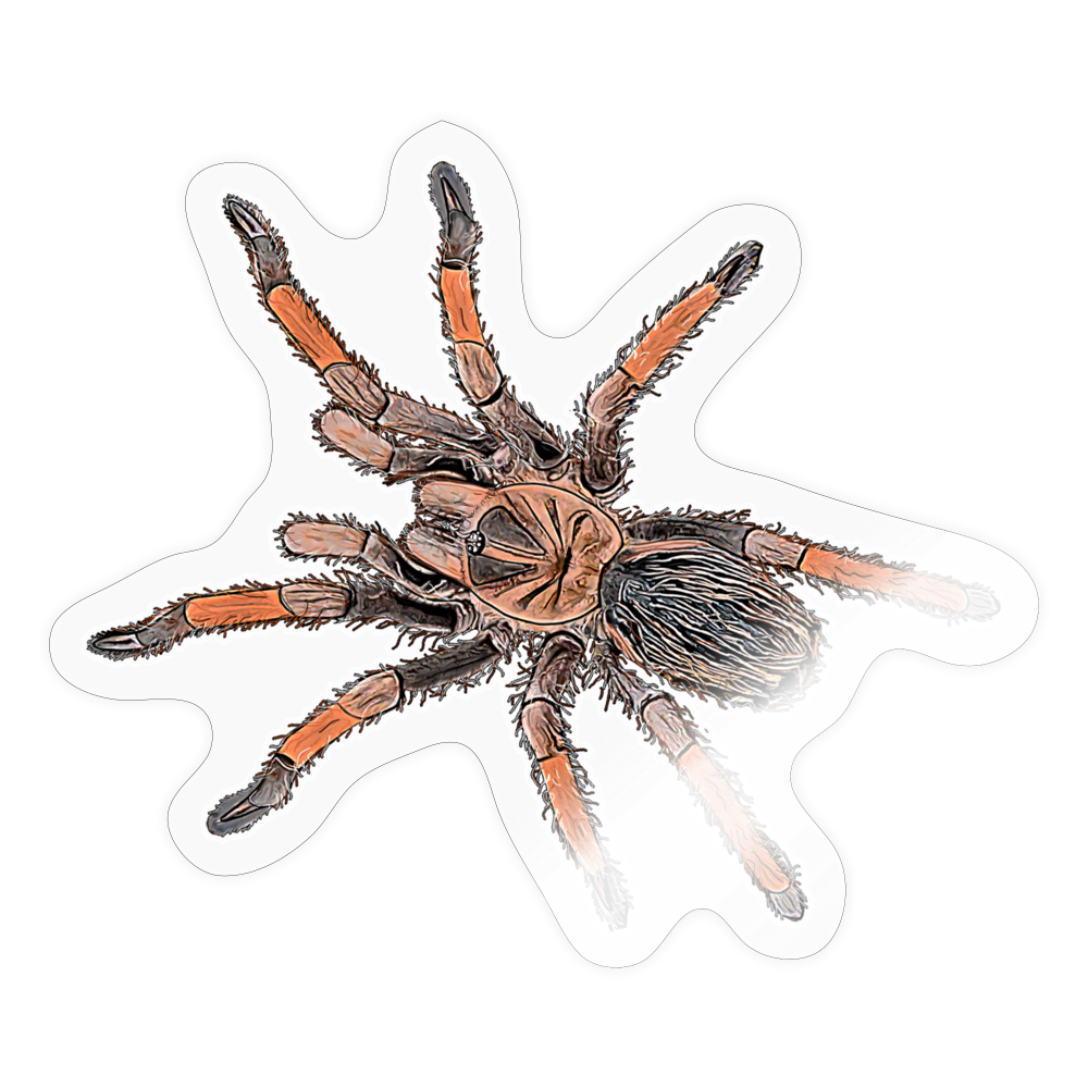 Sticker Brachypelma emilia - Transparent glänzend