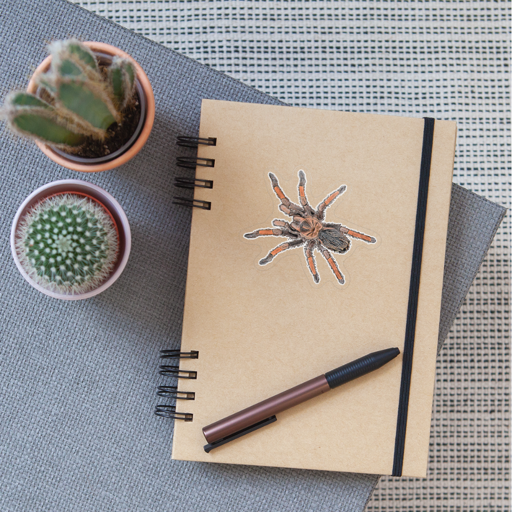 Sticker Brachypelma emilia - Transparent glänzend