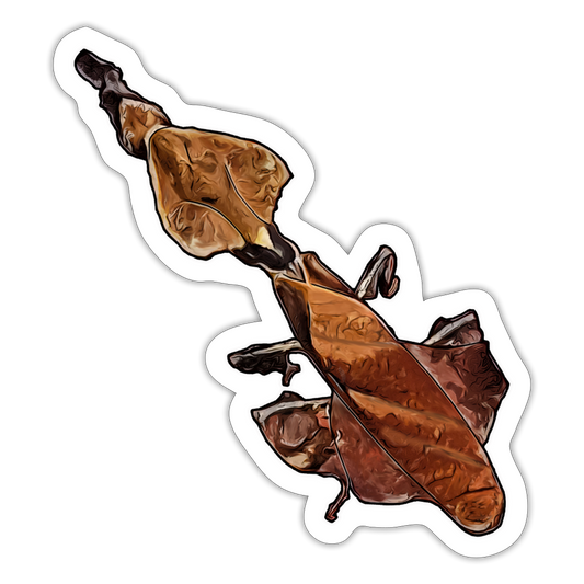 Sticker Phyllocrania paradoxa female - Mattweiß