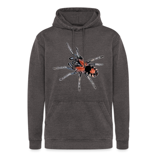 Unisex Vintage Hoodie Cyriocosmus elegans - Vintage Grau