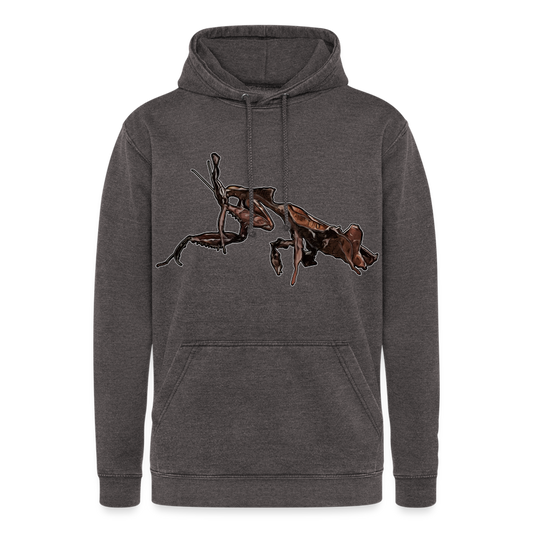 Unisex Vintage Hoodie Phyllocrania paradoxa female 2 - Vintage Grau