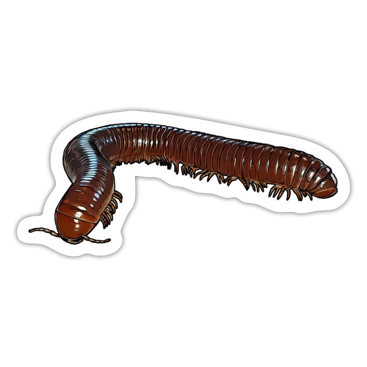 Sticker Ophistreptus guineensis - Mattweiß