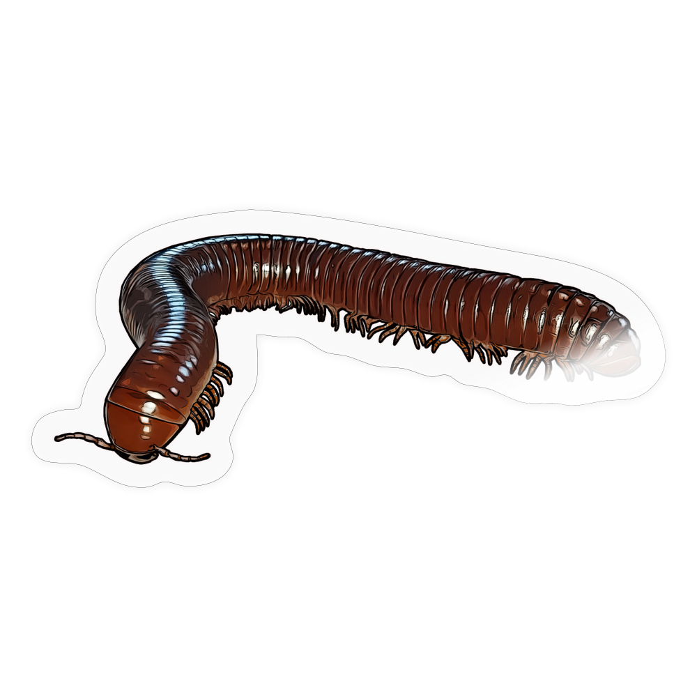 Sticker Ophistreptus guineensis - Transparent glänzend