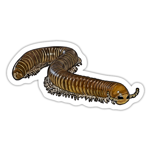 Sticker Telodeinopus aoutii - Mattweiß