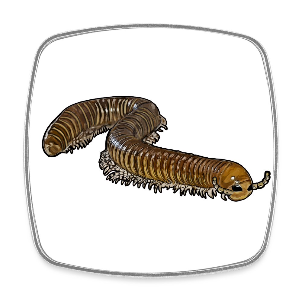 Kühlschrankmagnet eckig Telodeinopus aoutii - weiß