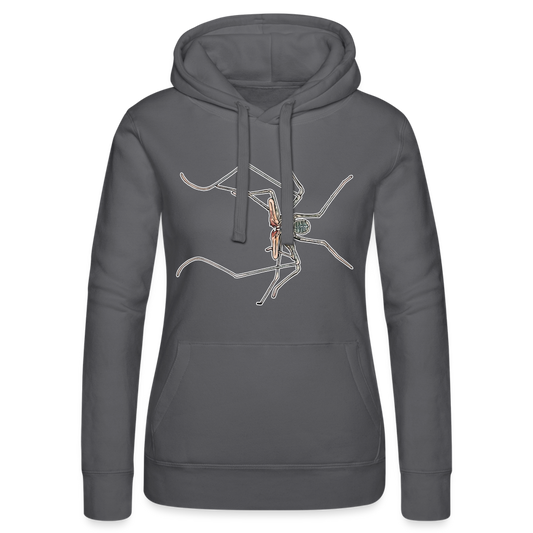 Frauen Russell Kapuzen Sweater Euphrynichus bacillifer - Grau