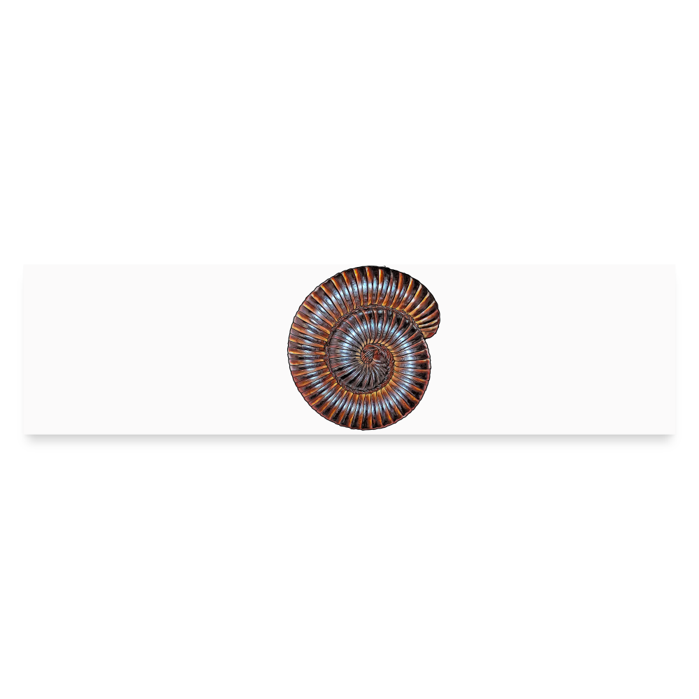 Auto-Aufkleber Archispirostreptus gigas - Mattweiß